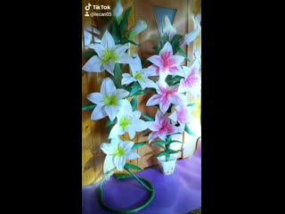 Лилии 🌺🌺🌺