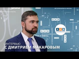 Интервью с дмитрием макаровым