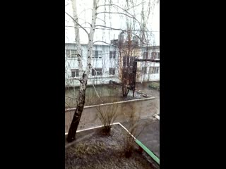 Vid 20200415 102210 mp4