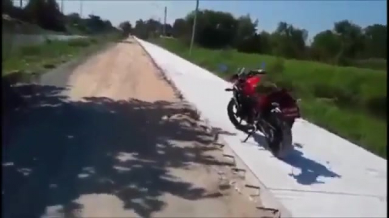 Никто не смеет шутить с обезьяной никто