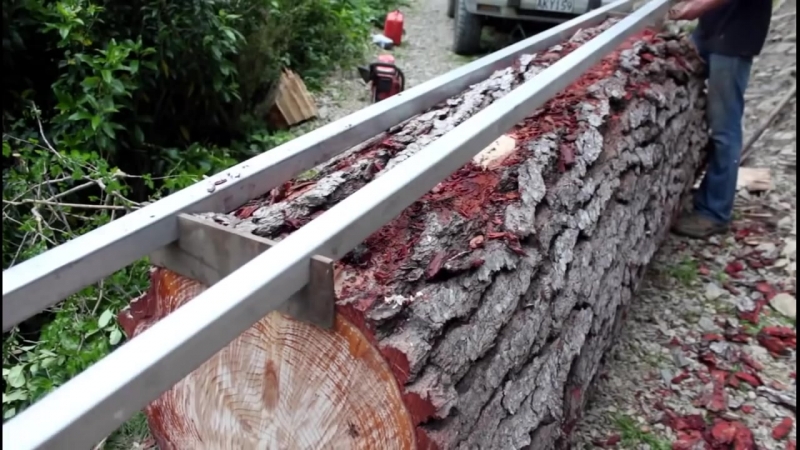 Распил дерева на месте