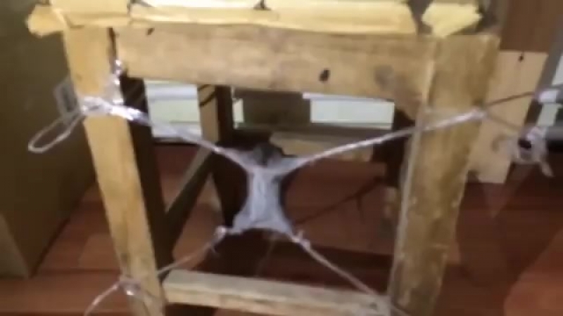 Блатные заходят в хату