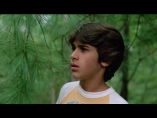 Спящий лагерь 1 часть (1983) / sleepaway camp (1983) ужасы