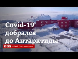 Полная изоляция как коронавирус добрался до антарктиды