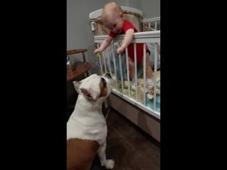 Warrior spirit honey blossom ( рой ) ( ghw ureula vennidor sozvezdiye magii zhemchuzhnyy amulet )