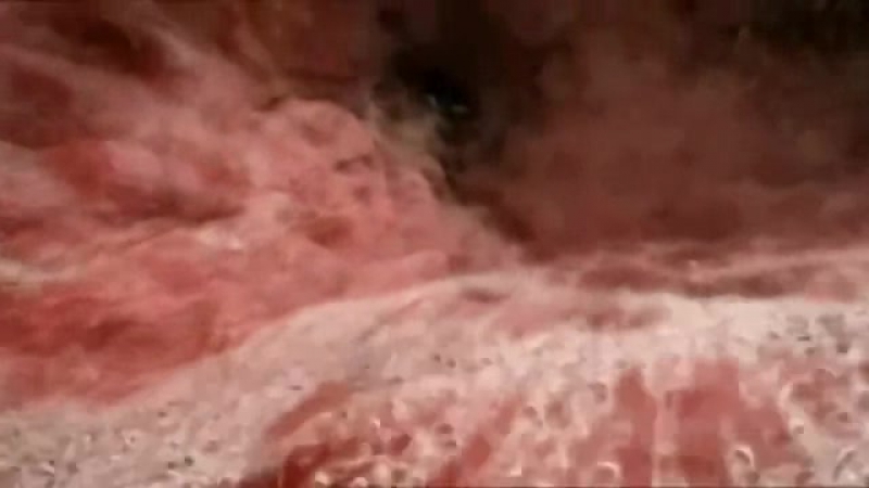 Как происходит зачатие ребенка фантастическое видео