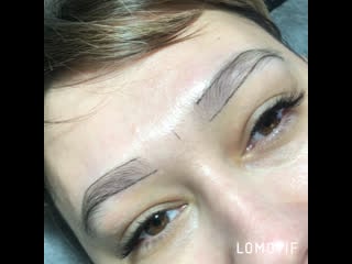 Брои + губки+ реснички