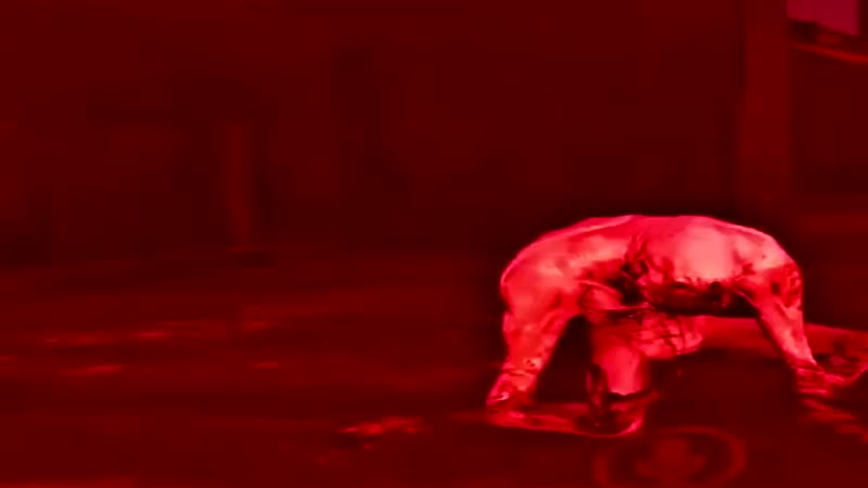 Непонятная хуйня флексит под ворониных mp4