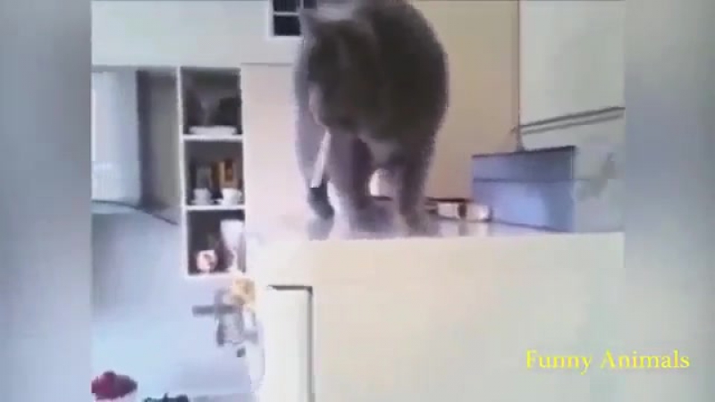 Верни сигарету сцуко