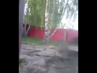 Жесть! 18+ ! школота взрывает живого бомжа!