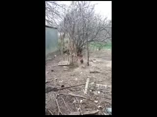 Злостные нарушители