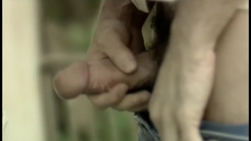 Хагар бен ашер мишолим / hagar ben asher mish'olim ( 2007 )