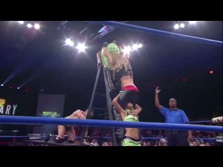 Eddie edwards & alisha edwards vs davey richards & angelina love