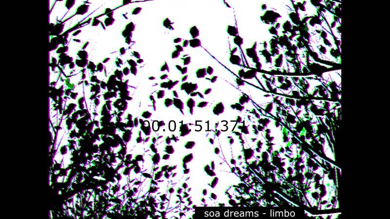 Limbo porn video – Soa dreams limbo