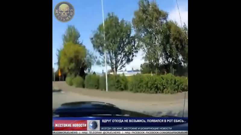 Вдруг откуда не возьмись, появился в рот ебись mp4