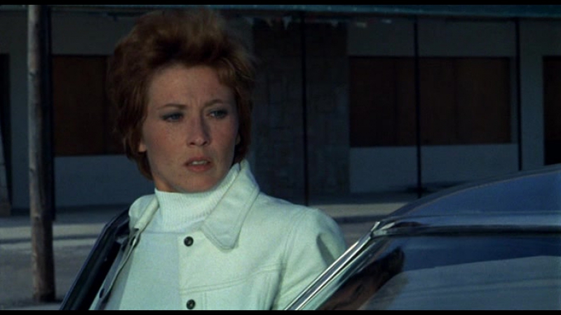 Пассажир дождя / le passager de la pluie 1969 перевод товбин vhs