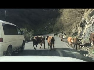 Видео от натали четвериковой