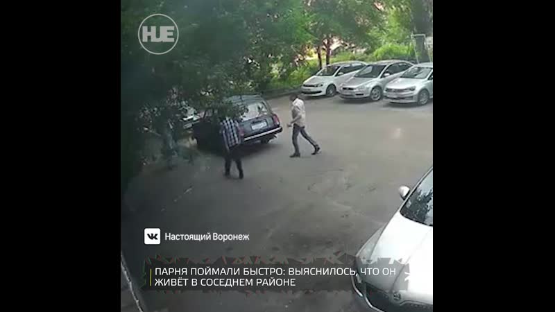 Это разборка воронежская