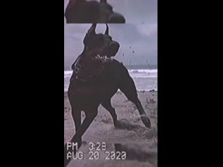 Мирмоихиллюзии porn videos - BEST XXX TUBE