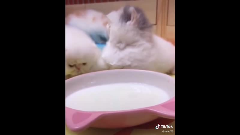 Усно, не то что бы по усу по сути усно