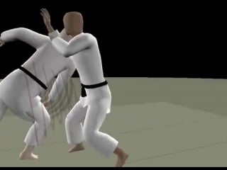 Aikido 5th kyu shomenuchi irimi nage