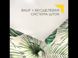 Bauf рекомендует шток