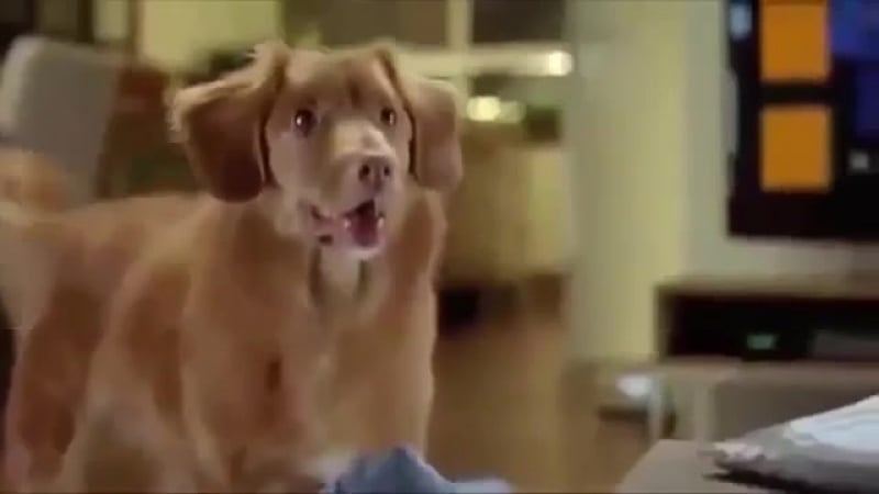 Последнее предупреждение