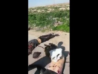 Hasakah bodies of isis & destroyed pick up |