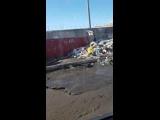 Androvid join 5475 2570 mp4