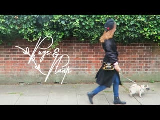 Pugs & plants vlog jul 2, 2017 / marzia