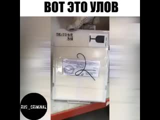 Rus criminal 20200116 1 mp4