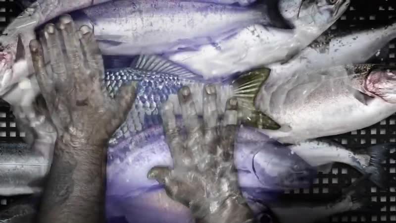 Mysteryforce мультфильмы с офигенным сюжетом