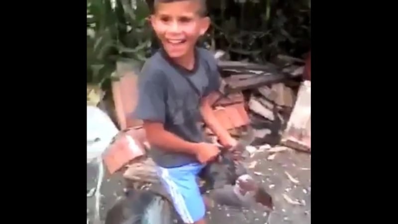 Ал керек болса 😂