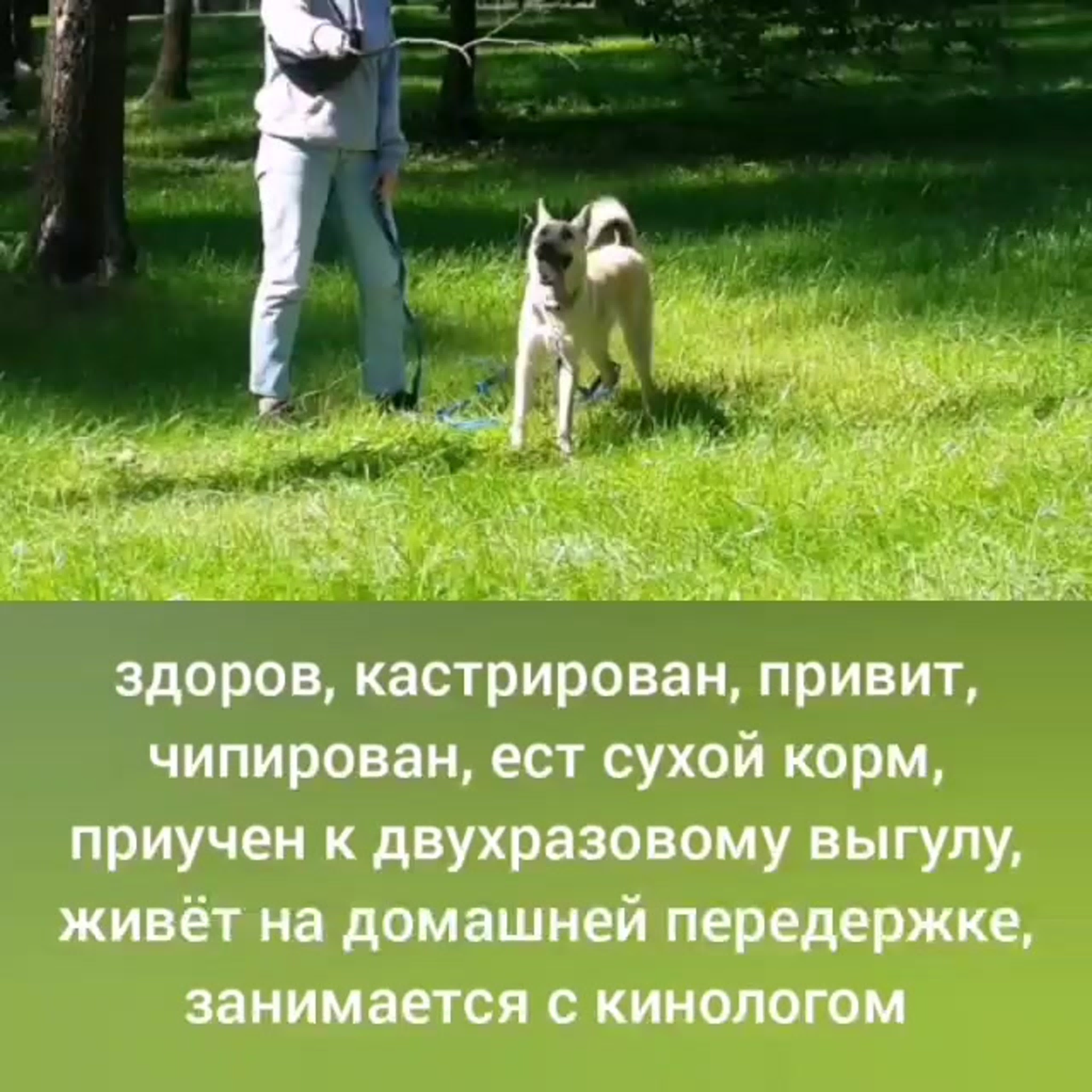 Видео от dogberry