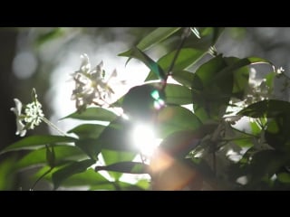 A luxury outlet shopping experience