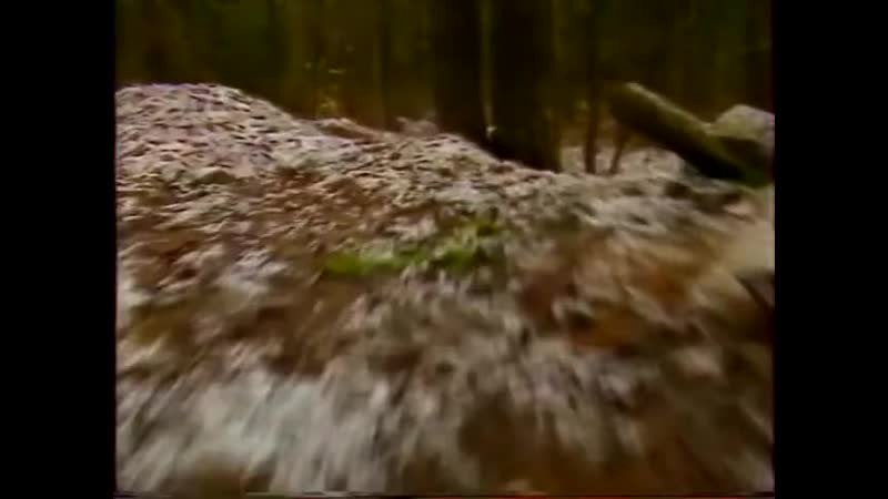 Так сионистами создавался искусственный голод и дефицит