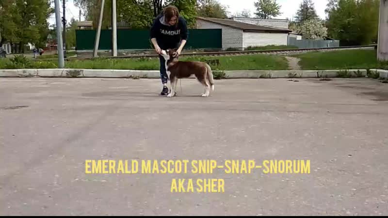 Emerald mascot ⭐ snip snap snorum 🔥