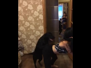 Девушка играет с собачкой