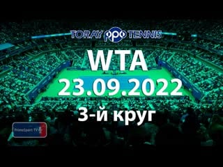 Чжэн циньвэнь клэр лью