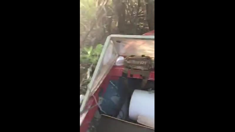 Руль моторист промухал поворот