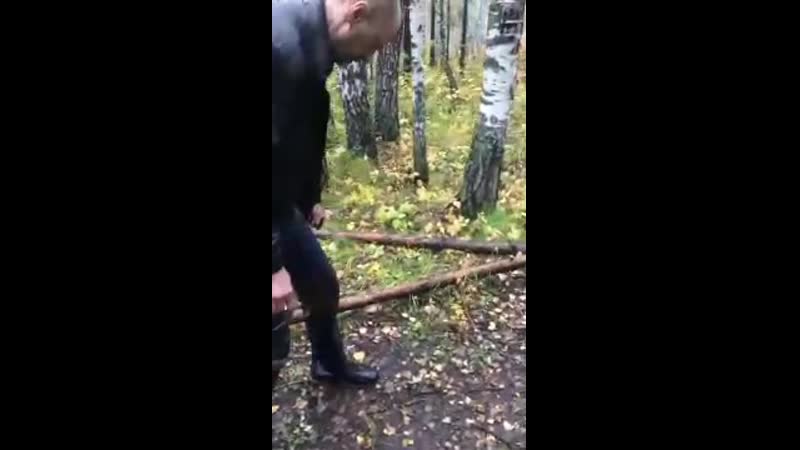 В новосибирском лесу