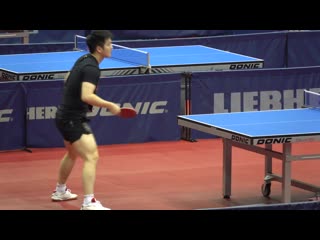 Fan zhendong bh | fh topspin training 2019