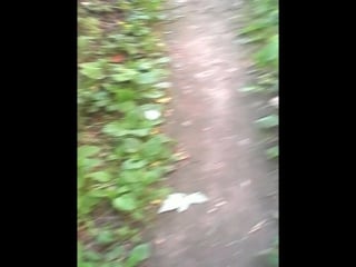 Vid 20160704 111353