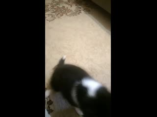 V 20200524 175417 vhdr on mp4