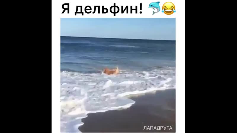 Но рождён молодые! 😂