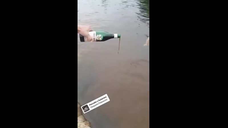 Рыбок porn video – Прикорм рыбок