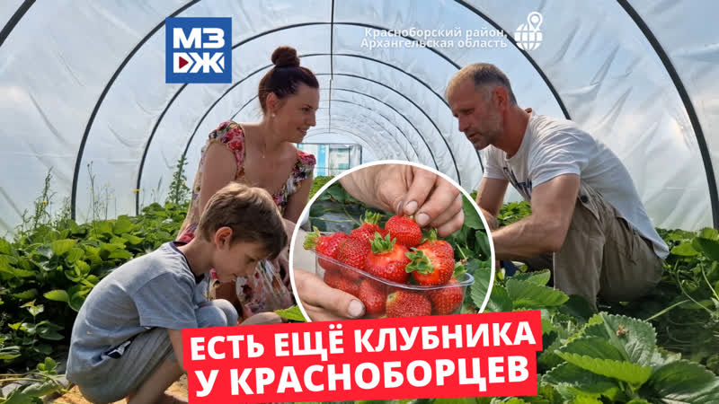 Ягодка porn video – Мзж ягодка моя