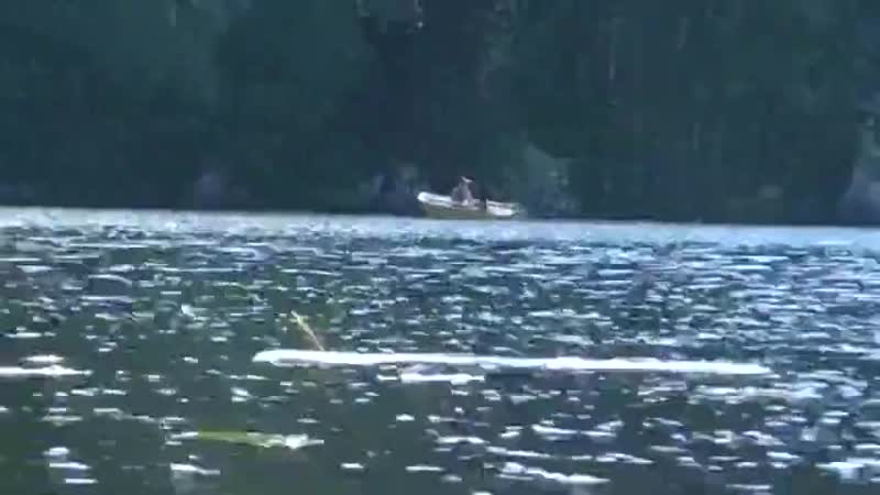 Ловля на живца