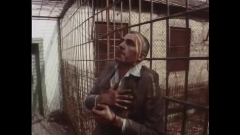 Очень качественное, сильное кино! лебединое озеро зона, драма, фильмы ссср