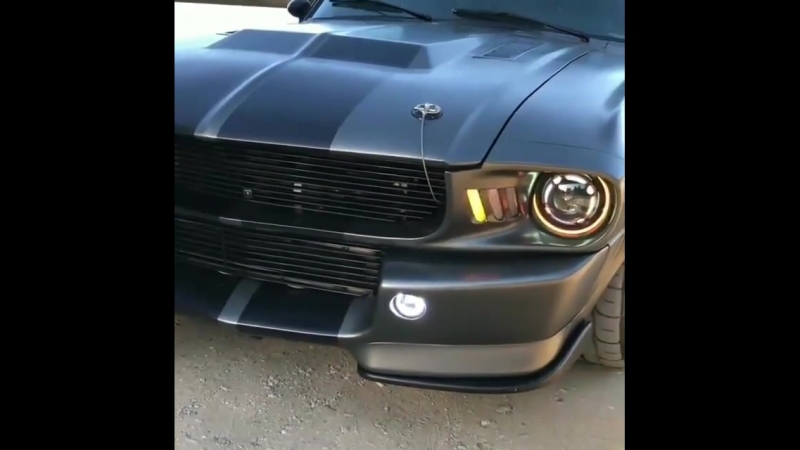 Shelby gt500